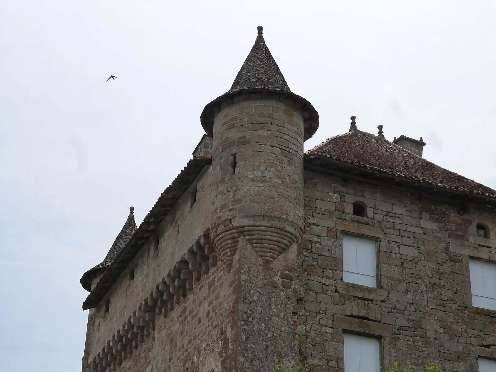 Mâchicoulis et échauguette au sommet d'une tour de château fort