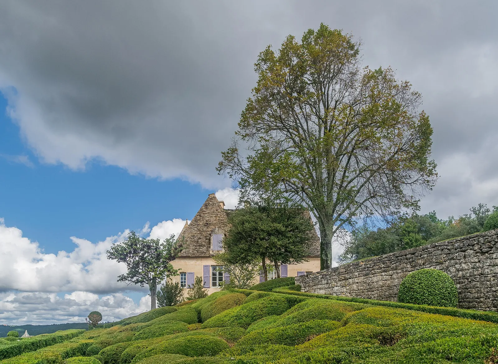 Les buis taillés des jardins de Marqueyssac
