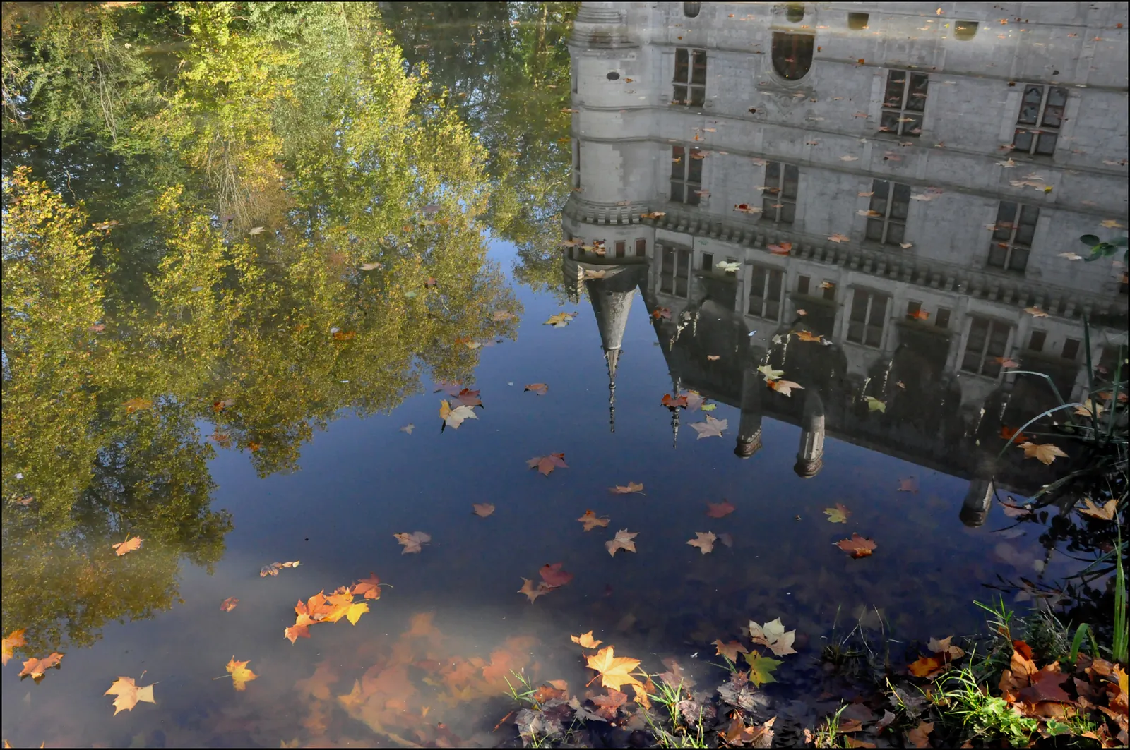 Le château d'Azay-le-Rideau se reflétant dans l'Indre