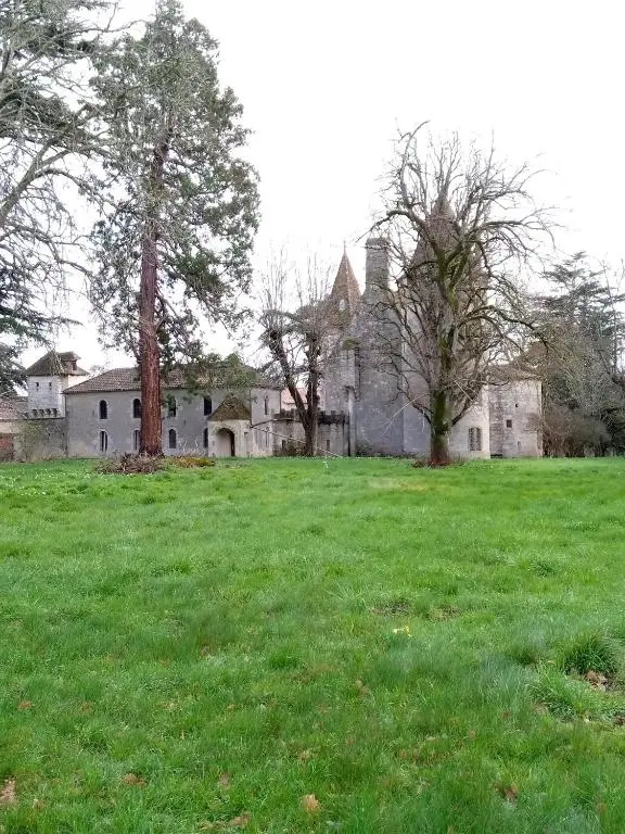 Appartement du Château Renaissance à Layrac, photo 3