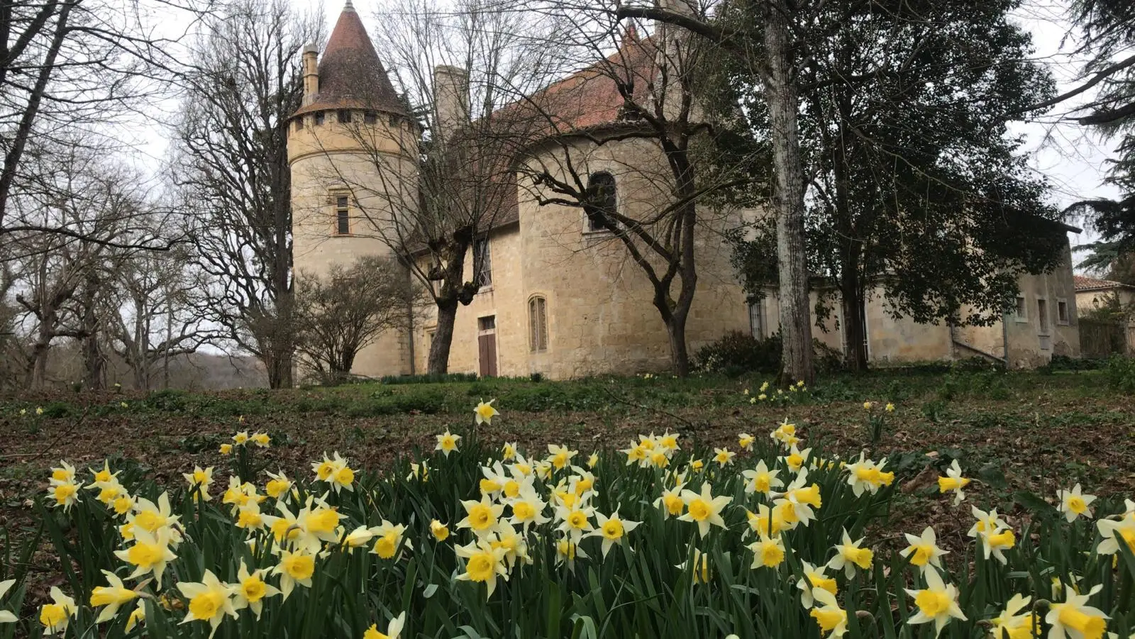 Appartement du Château Renaissance à Layrac, photo 4