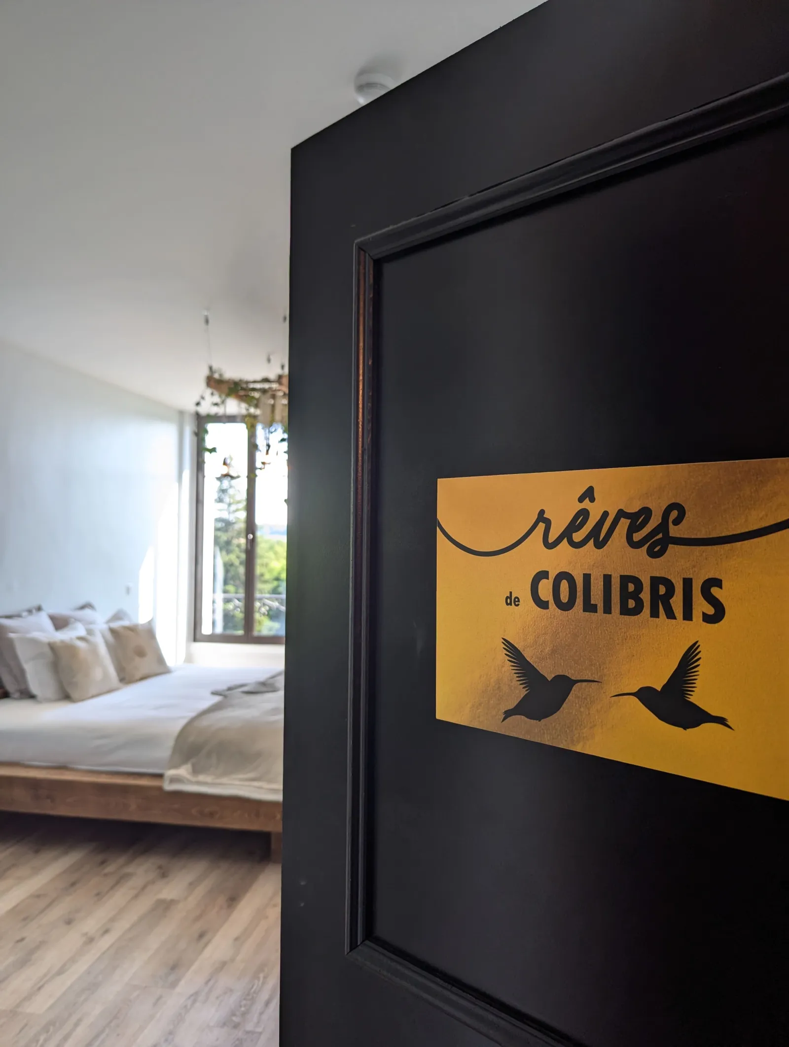 Chambre Rêve de Colibri à Parentignat, photo 5