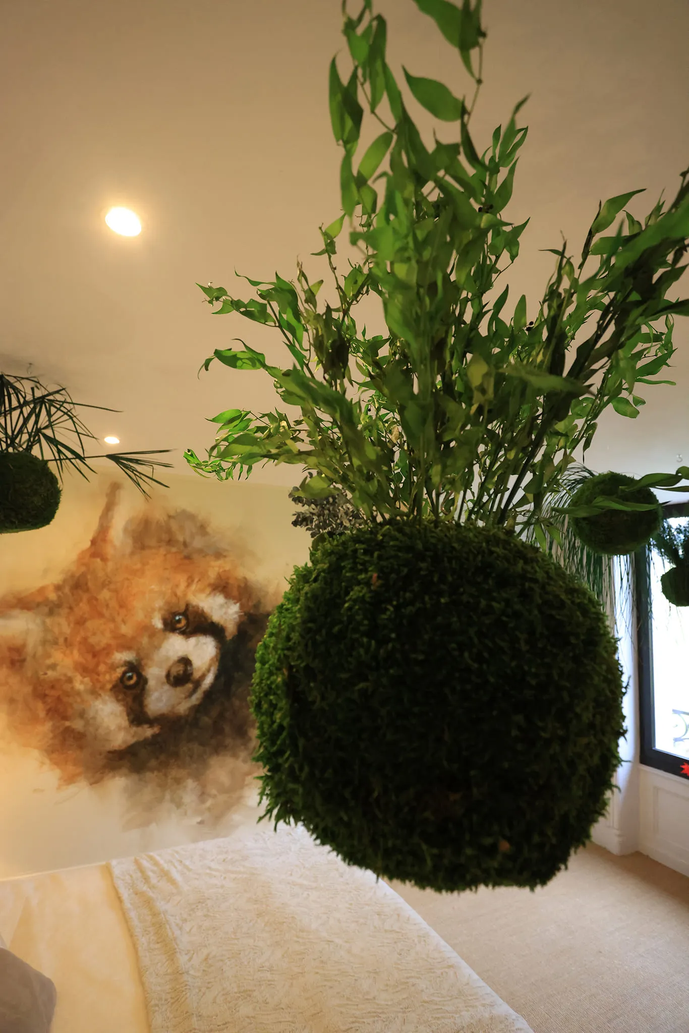 Chambre Rêve de Panda roux à Parentignat, photo 5