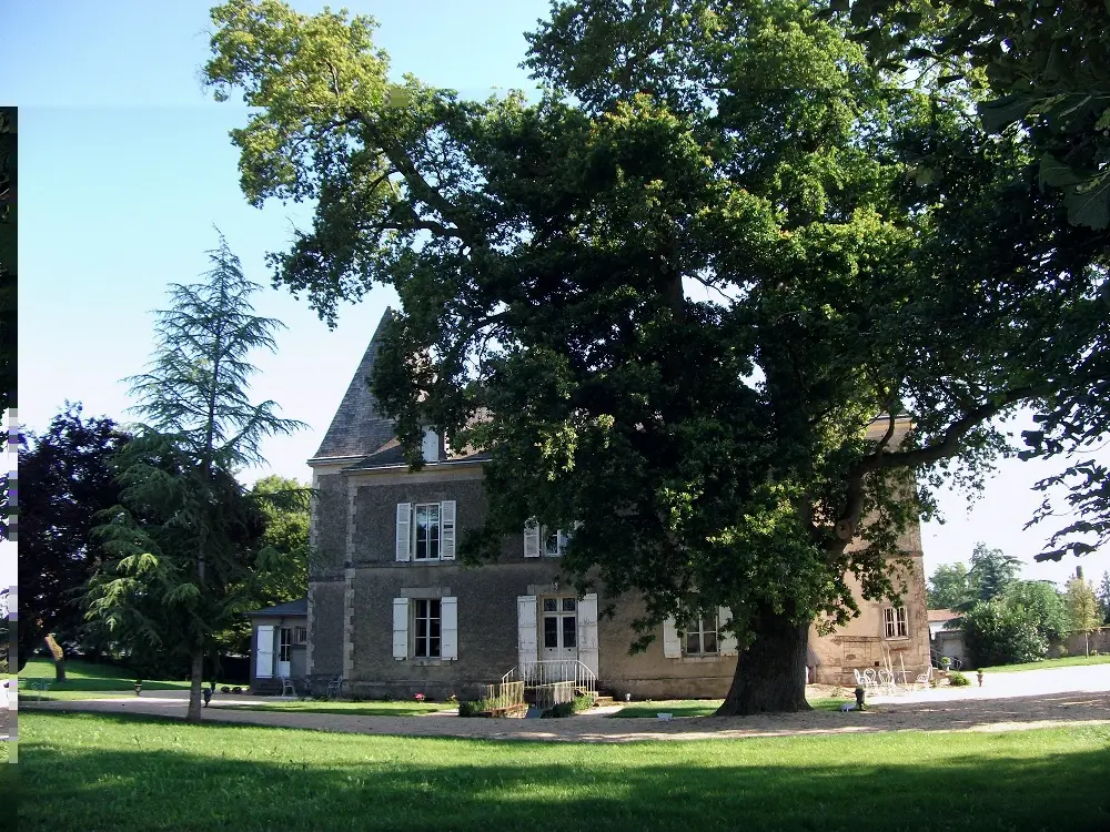 Chambres d'hôtes du Château de Bellevue à Sainte-Cécile, photo 5
