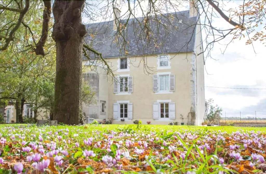 Château Ardilleux à Loubigné, photo 6