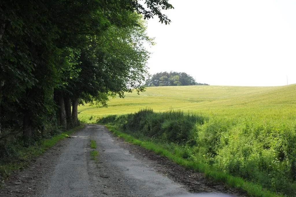 Château Bel Aspect à Salles-sur-l'Hers, photo 5