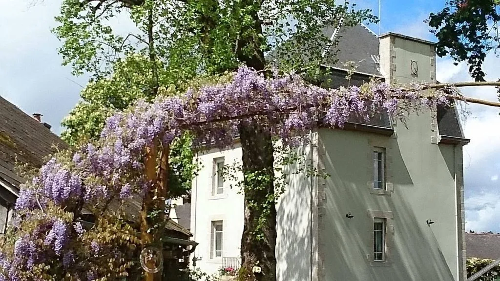 Château Bily à La Chèze, photo 3