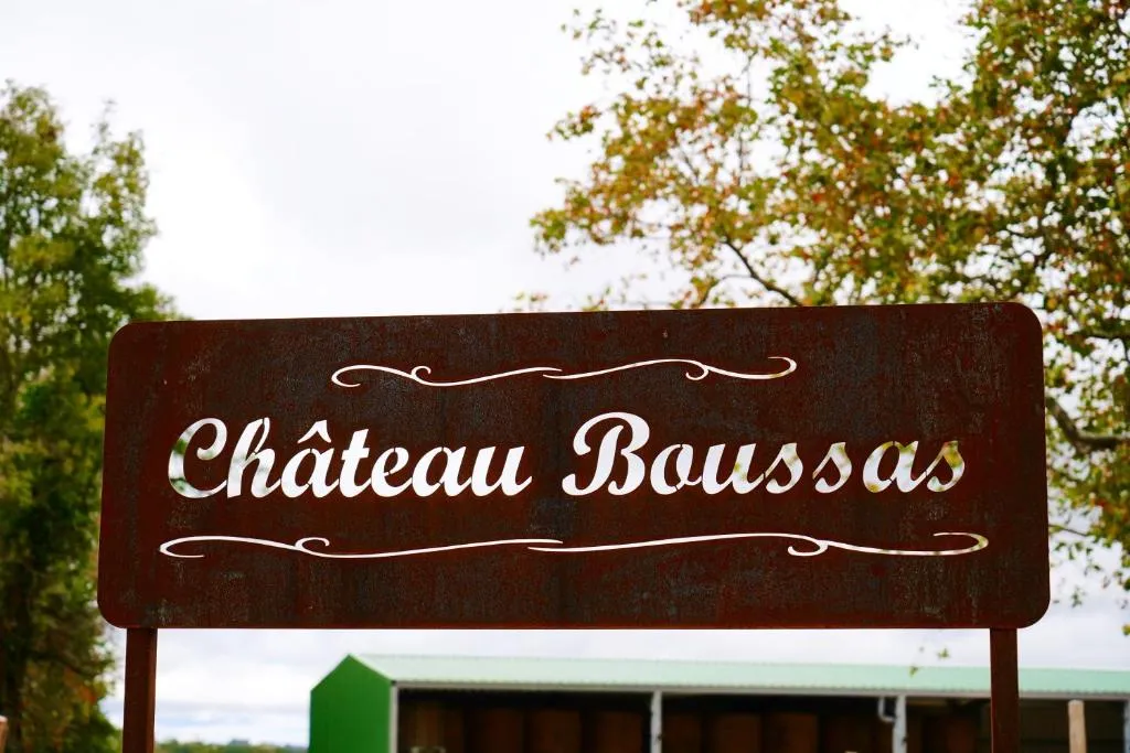 Château Boussas à Couloumé-Mondebat, photo 7