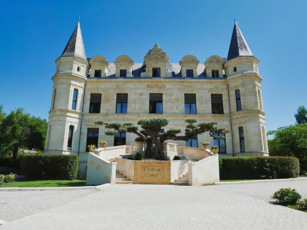 Château Camiac, chambre ou suite de château à Camiac-et-Saint-Denis