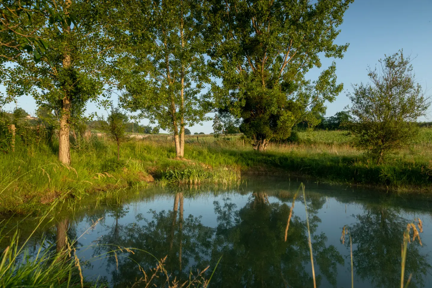 Château Camponac, château viticole à Bourg