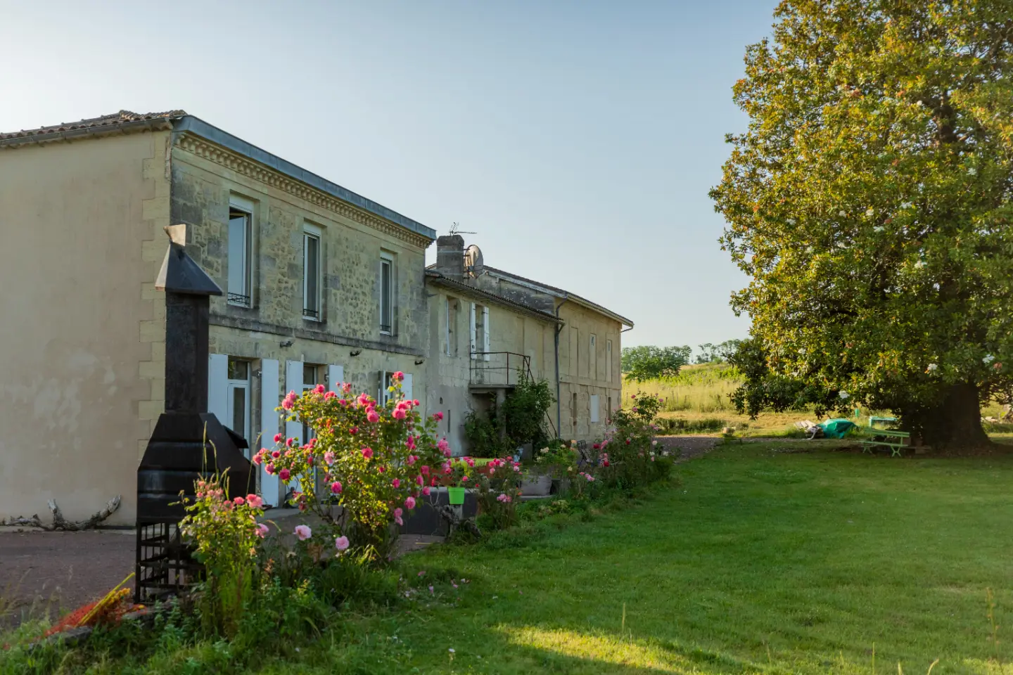 Château Camponac à Bourg, photo 2