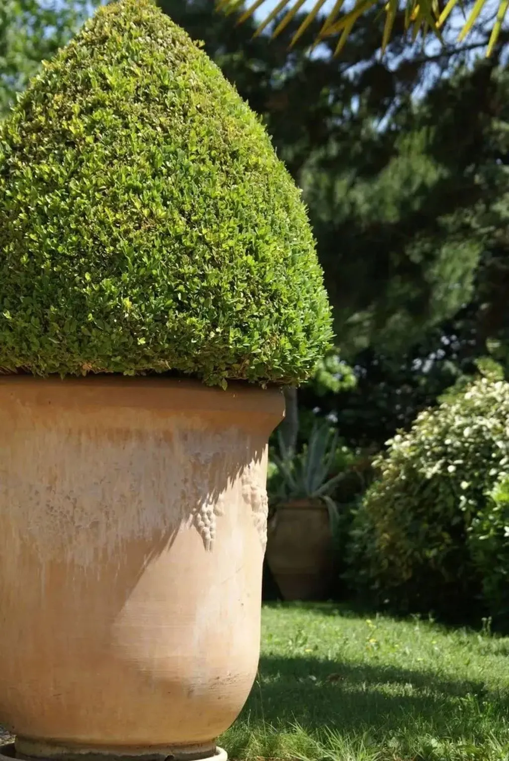 Château Chavagnac à Lemps, photo 5