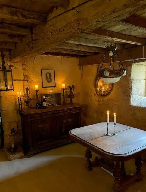 Château Ciers à Saint-Ciers-sur-Gironde, photo 2