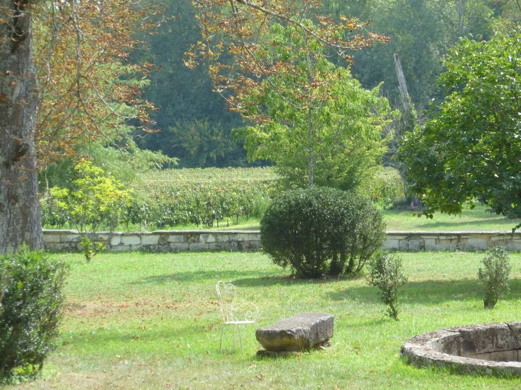 Château Couloumey à Beautiran, photo 6