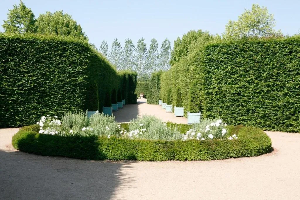 Château d'Ainay-le-Vieil à Ainay-le-Vieil, photo 4