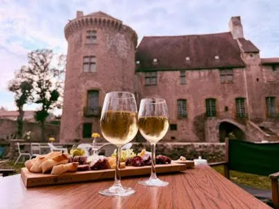 Château d'Albon, chambre Henri II à Saint-Alban-les-Eaux, photo 4