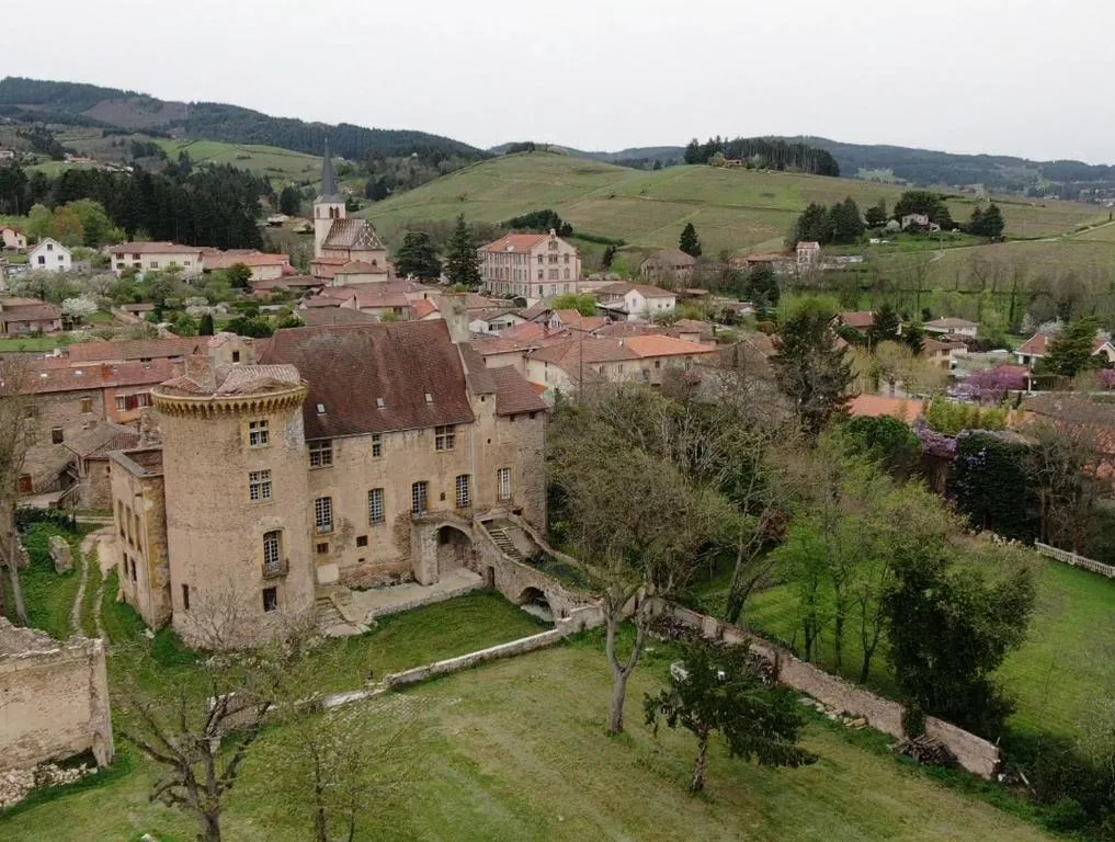 Château d'Albon, chambre Maréchale d'Albon à Saint-Alban-les-Eaux, photo 5