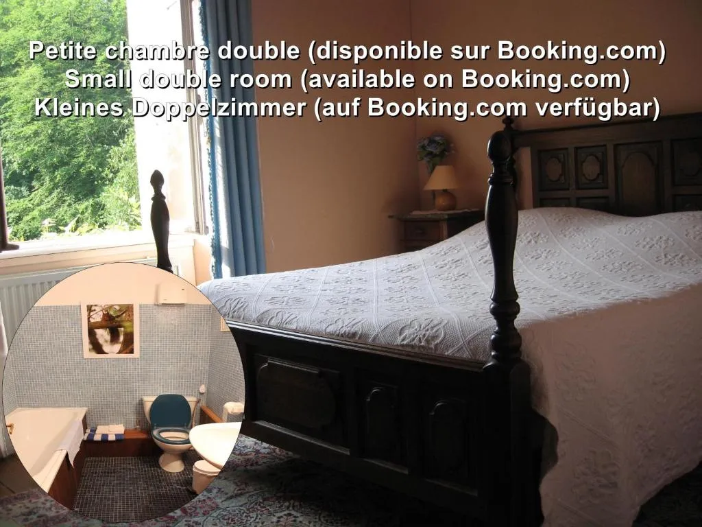 Château d'Alteville à Tarquimpol, photo 2