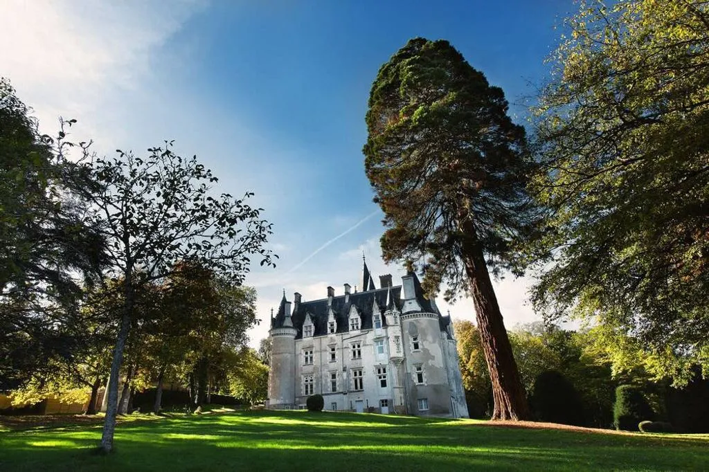 Château d'Amenon à Saint-Germain-d'Arcé, photo 3
