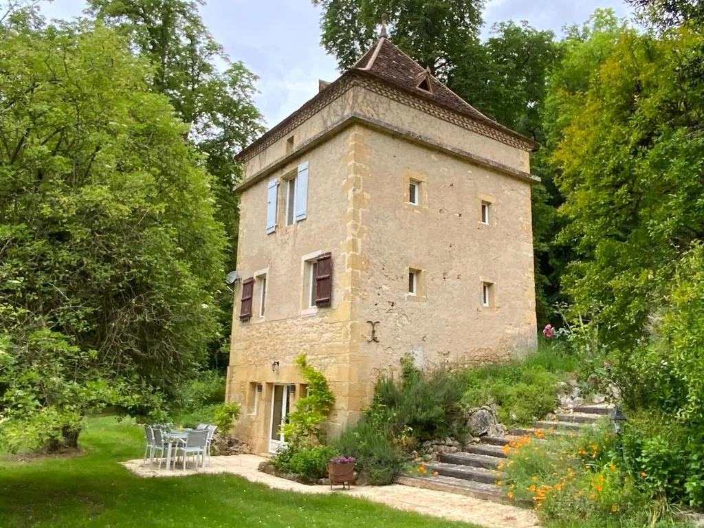 Château d'Argentonesse à Castels et Bézenac, photo 5