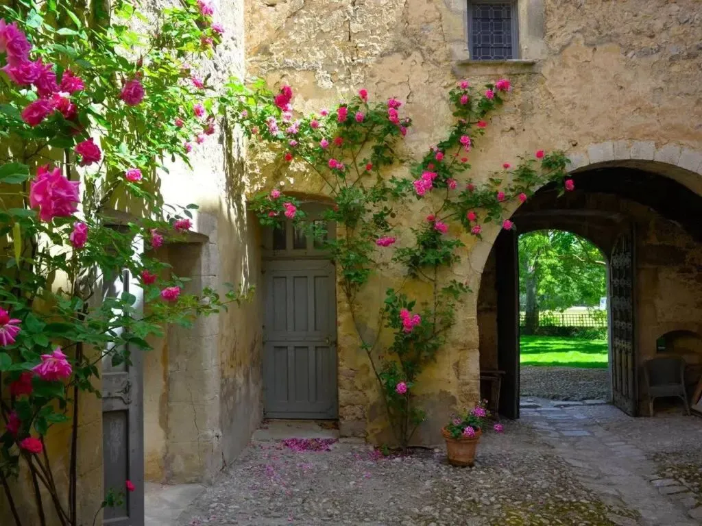 Château d'Esparron à Esparron-de-Verdon, photo 3
