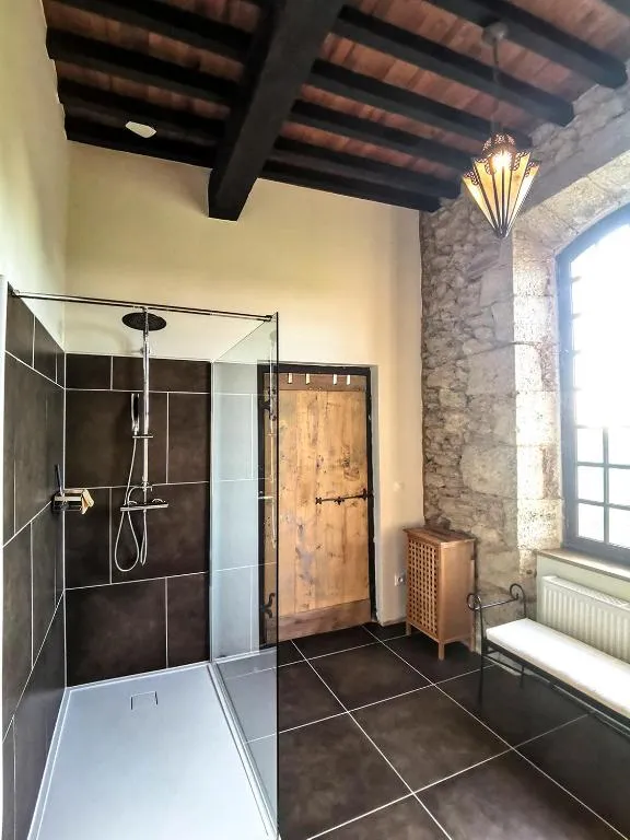 Château d'Esplavis à Eauze, photo 3