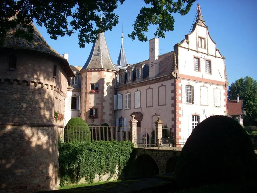 Château d'Osthoffen à Osthoffen, photo 7