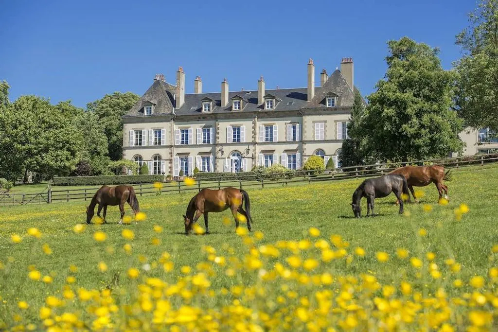 Château d'Ygrande, chambre ou suite de château à Ygrande