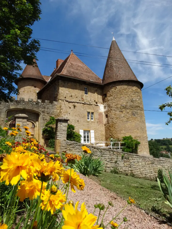 Château de Barnay à Saint-Martin-de-Lixy, photo 4
