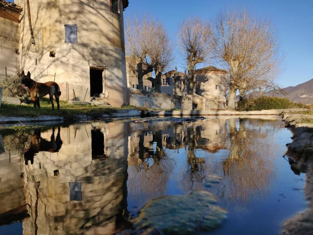 Château de Beaucouse à Thoard, photo 2