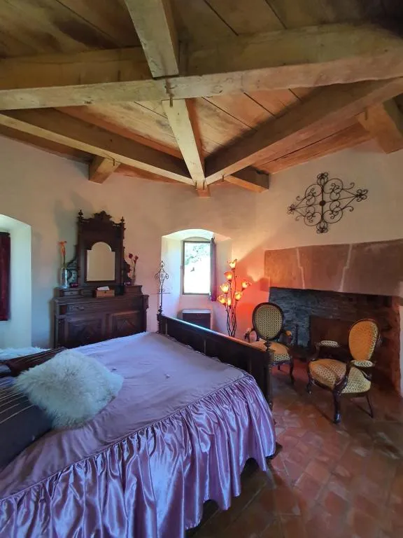 Château de Belcastel à Belcastel, photo 2