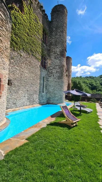 Château de Belcastel à Belcastel, photo 4