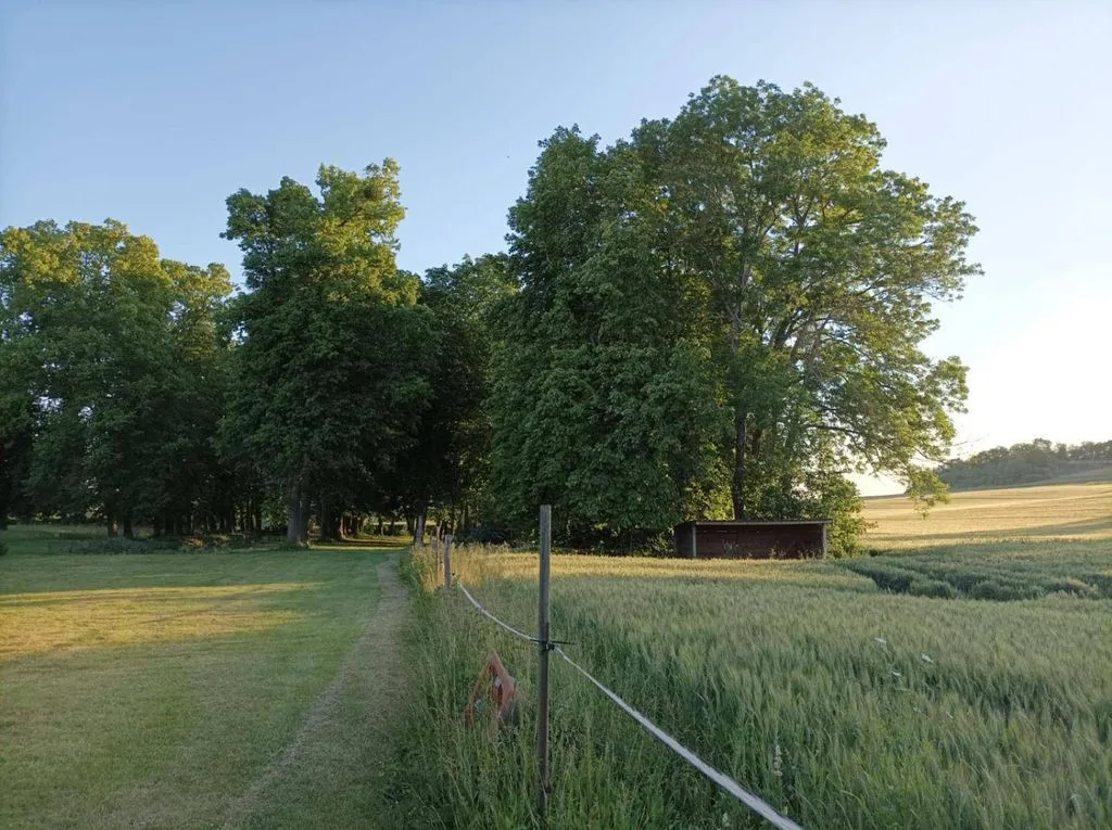 Château de Bellefontaine à Noisy-Rudignon, photo 6