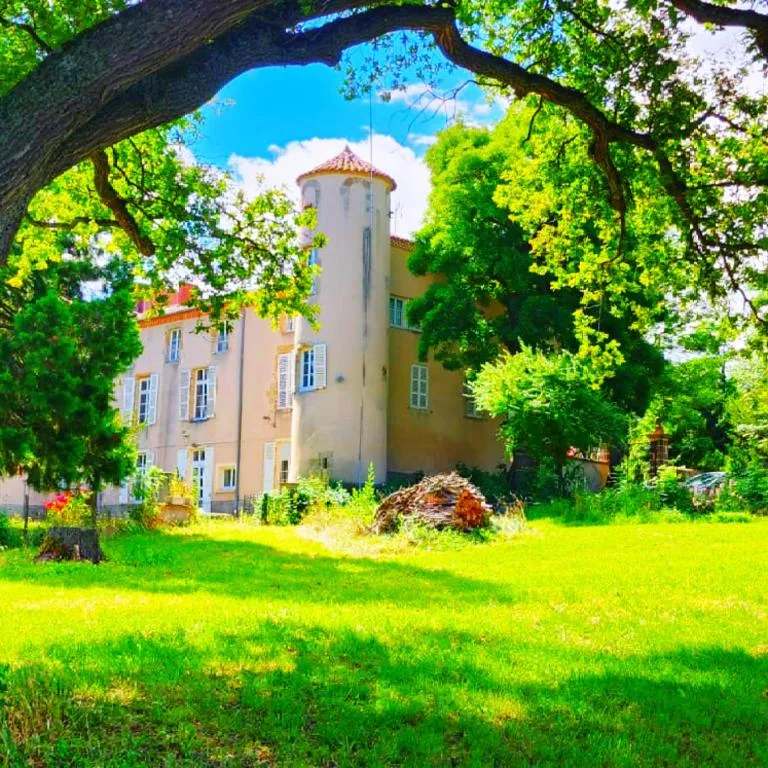 Château de Béthel, gîte de château à Saint-Martin-des-Plains