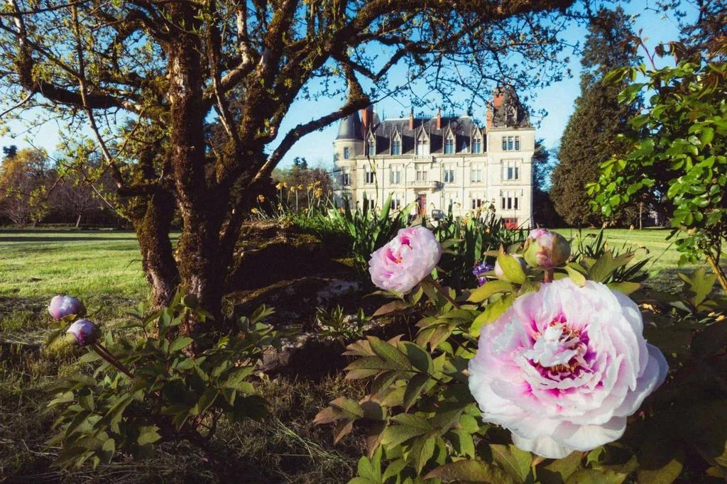 Château de Boisrenault à Saint-Lactencin, photo 4