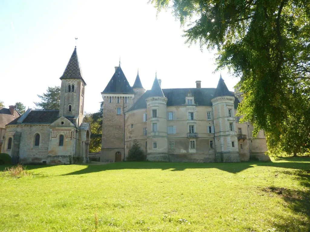 Château de Bresse-sur-Grosne à Bresse-sur-Grosne, photo 7