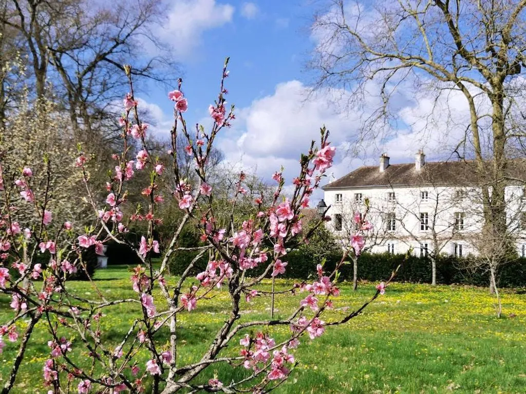 Château de Brinville, chambre ou suite de château à Saint-Sauveur-sur-École