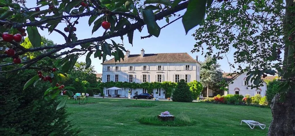 Château de Brinville à Saint-Sauveur-sur-École, photo 3