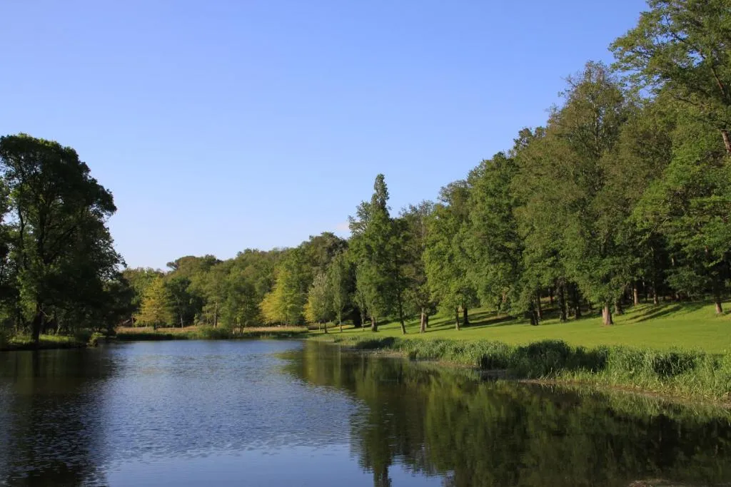 Château de Brissac à Brissac Loire Aubance, photo 6