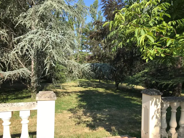 Château de Champagnat à Cusset, photo 7