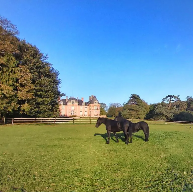 Château de Chantore à Bacilly, photo 6