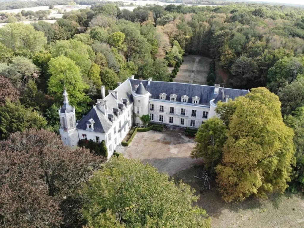Château de Charnizay à Charnizay, photo 6
