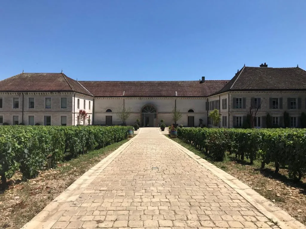 Château de Chassagne-Montrachet à Chassagne-Montrachet, photo 6