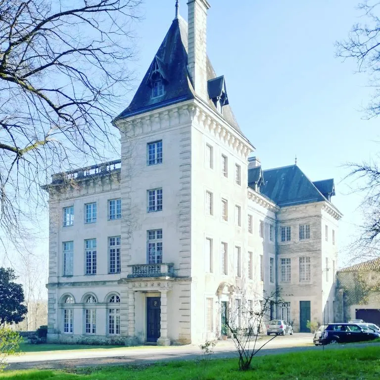 Château de Chasseneuil, chambre ou suite de château à Chasseneuil-sur-Bonnieure