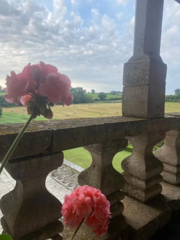 Château de Cibioux à Surin, photo 3