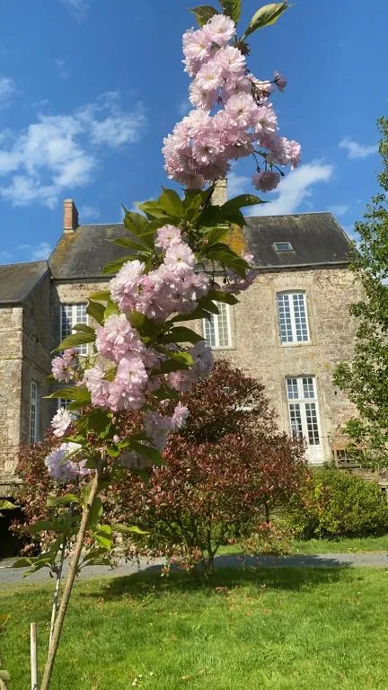 Château de Claids à Saint-Patrice-de-Claids, photo 5