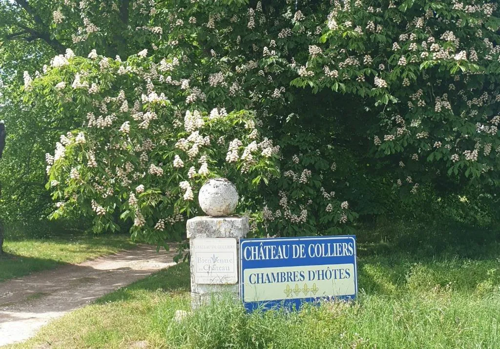 Château de Colliers à Muides-sur-Loire, photo 3