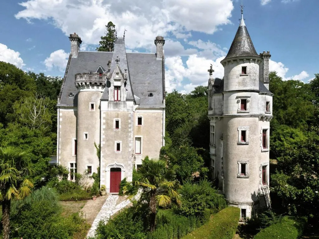 Château de Coubloust à Vicq-sur-Nahon, photo 2