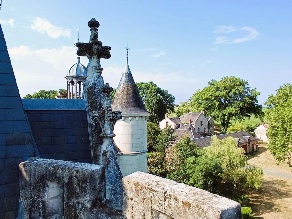 Château de Coubloust à Vicq-sur-Nahon, photo 6