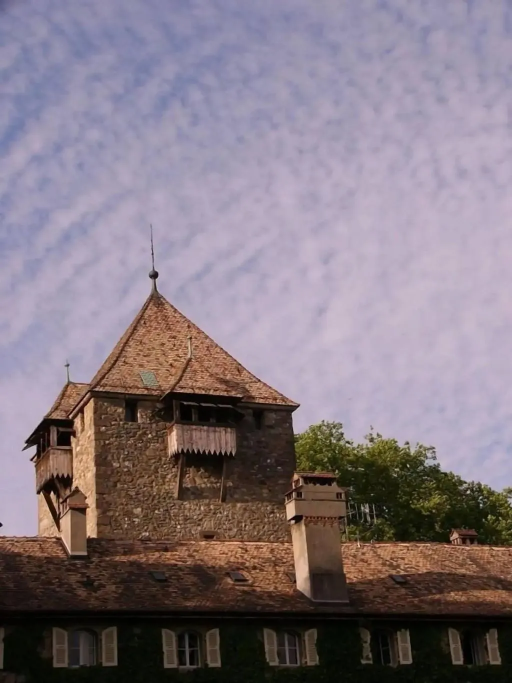 Château de Coudrée à Sciez, photo 4